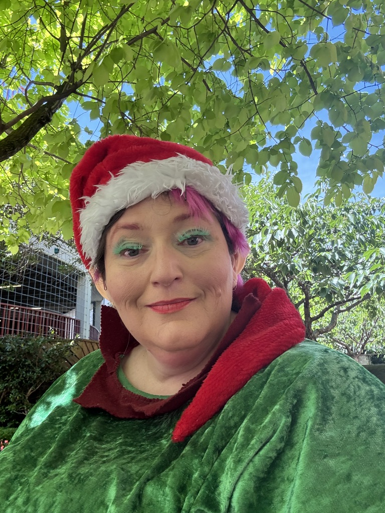 Elfie the Christmas Elf Out and About